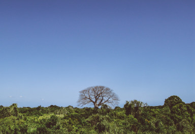 Zanzibar