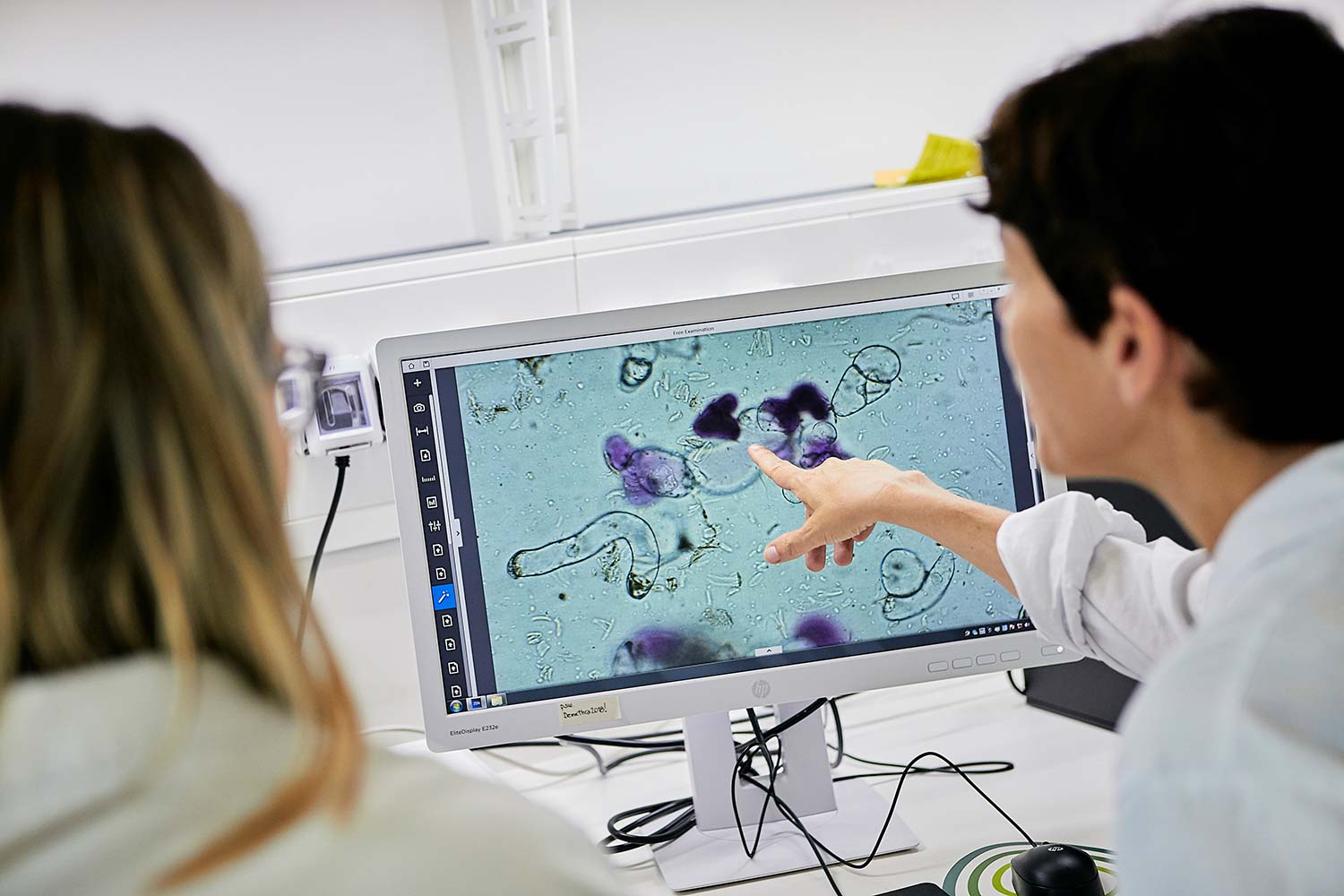 Reportage fotografico ambiente biomedico e biologico fitoterapico agrario industriale da fotografo aziendale e commerciale
