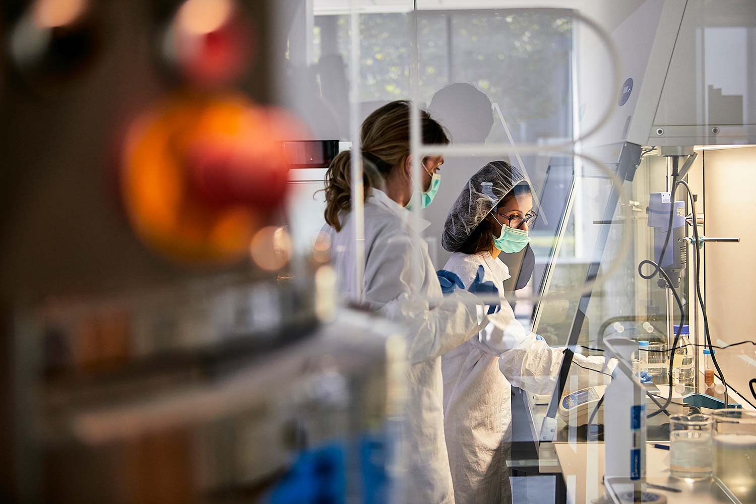 Reportage fotografico ambiente biomedico e biologico fitoterapico agrario industriale da fotografo aziendale e commerciale