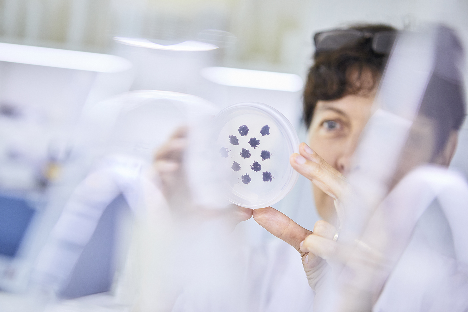 Reportage fotografico ambiente biomedico e biologico fitoterapico agrario industriale da fotografo aziendale e commerciale