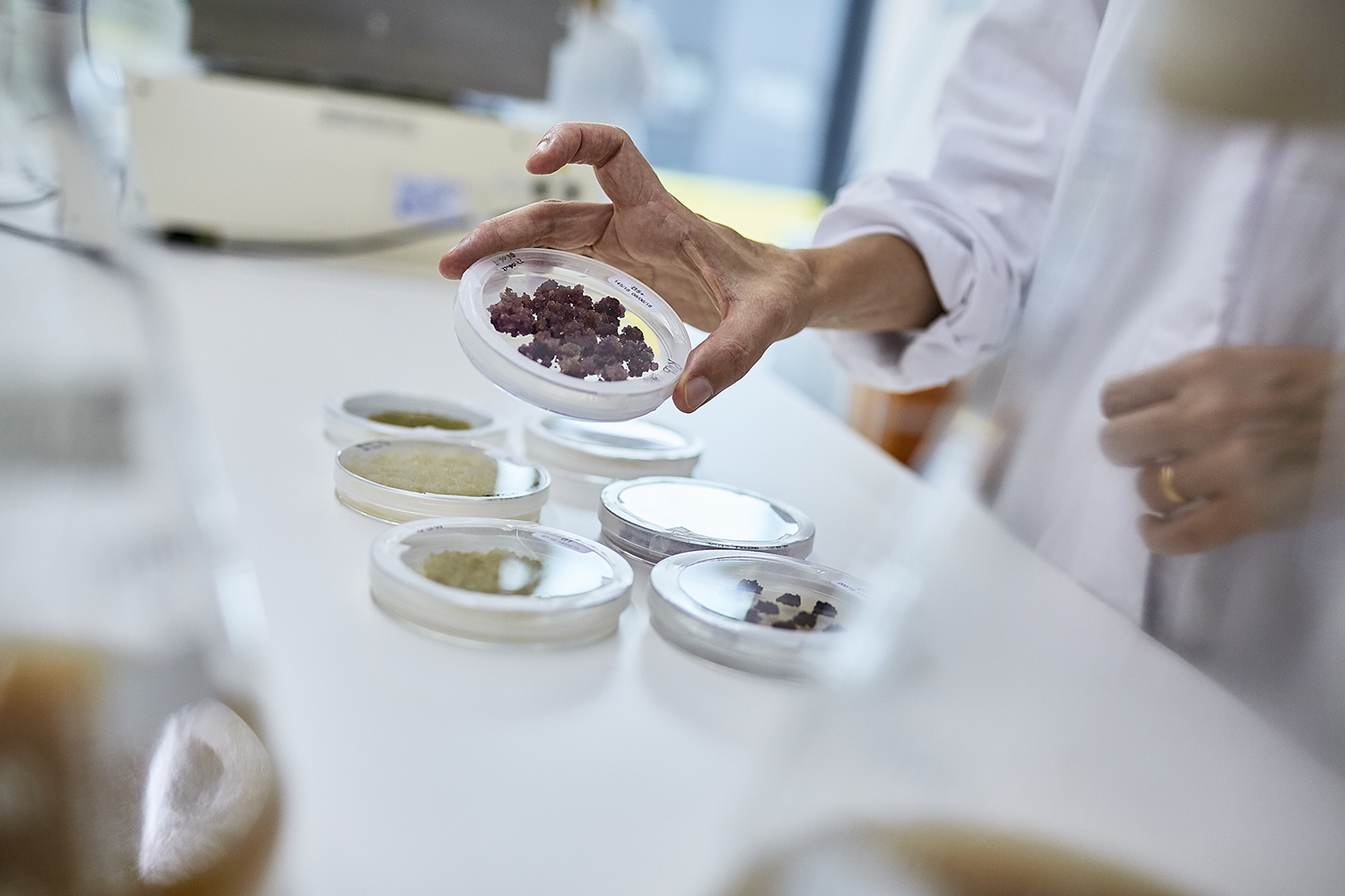 fotografo reportage bio tecnologie Reportage fotografico Demethra Biotech Cereal Docks Vicenza