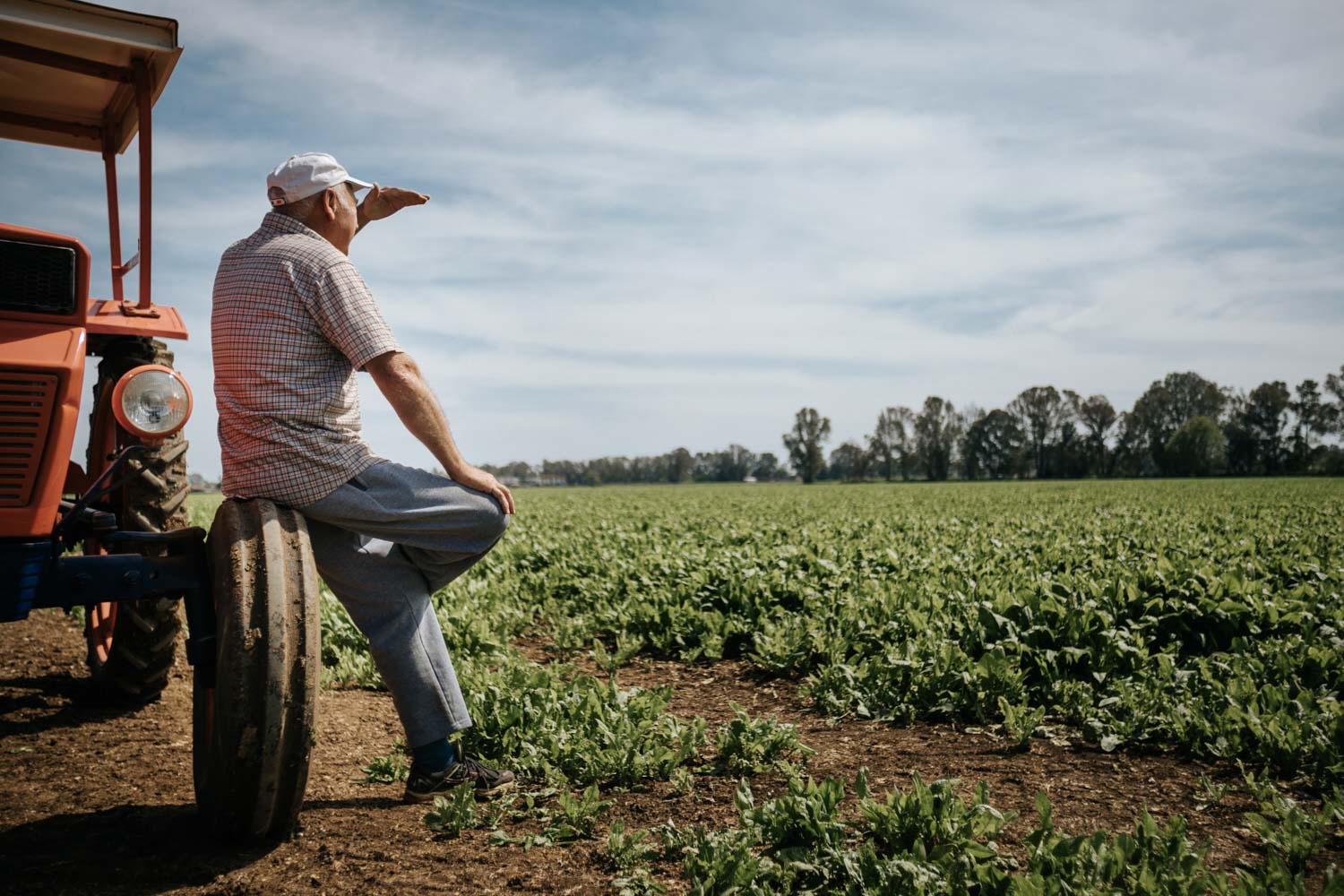 Fotografo reportage aziendale corporate agricoltura