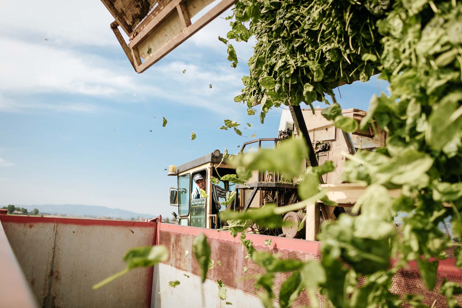 Fotografo reportage aziendale corporate agricoltura