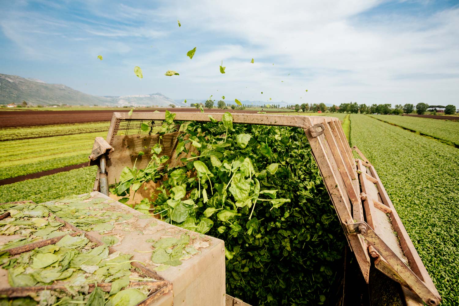 Fotografo reportage aziendale corporate agricoltura