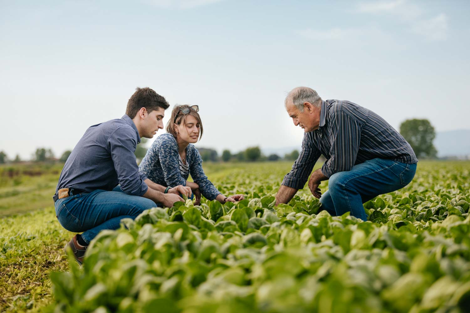 Fotografo reportage aziendale corporate agricoltura