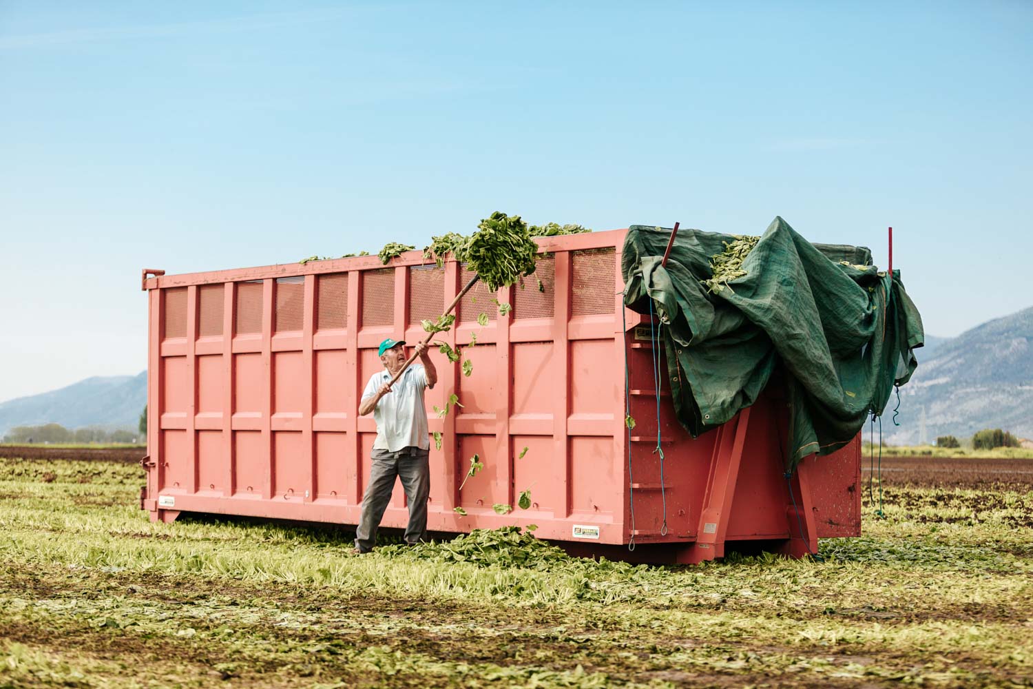 Fotografo reportage aziendale corporate agricoltura