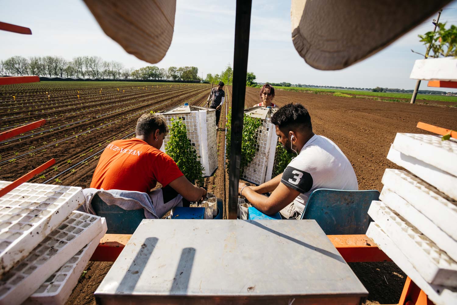 Fotografo reportage aziendale corporate agricoltura