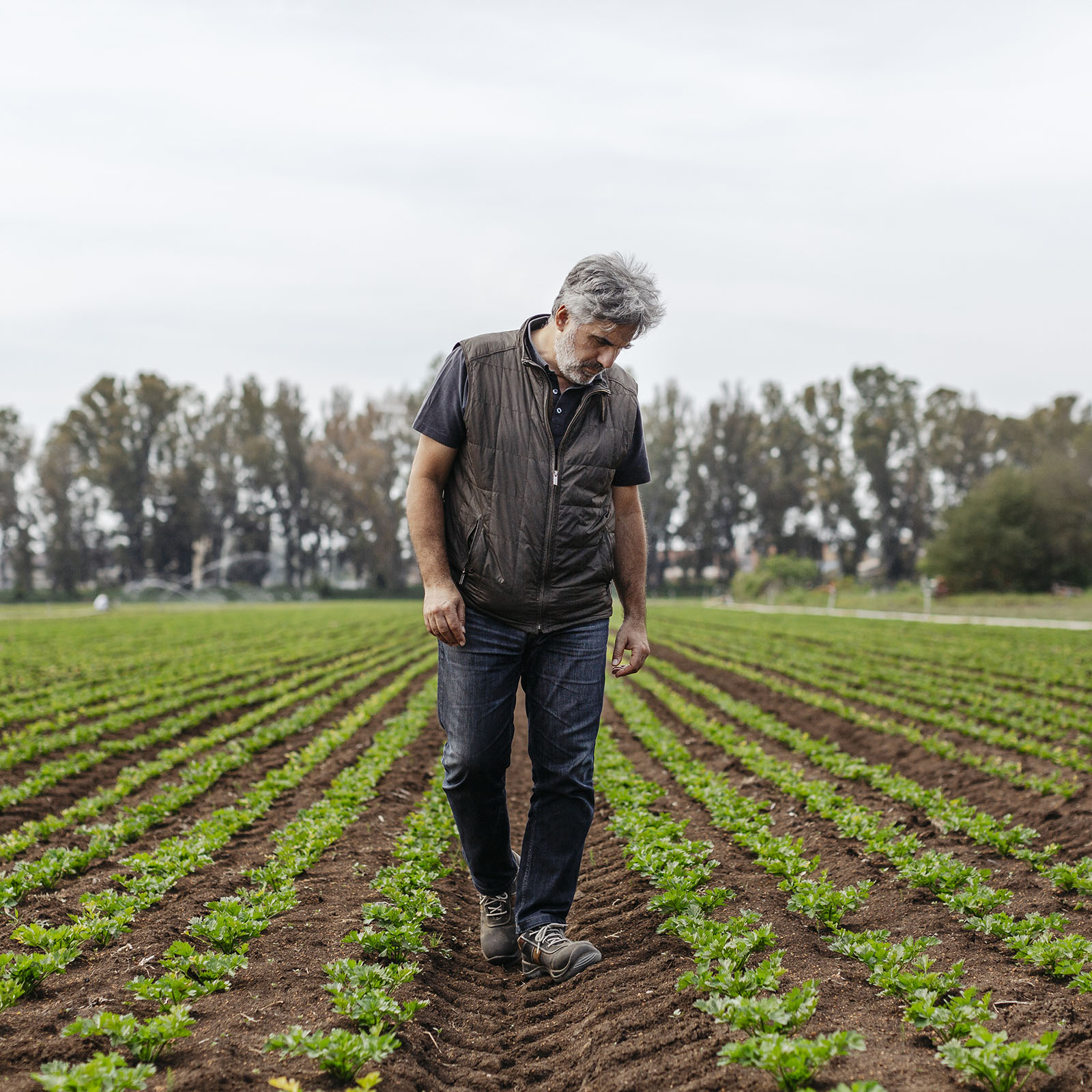 Fotografo campagna pubblicitaria findus in reportage aziendale immagine corporate e pubblicitario per agenzia di pubblicità con foto di campi coltivati e coltivazioni agrarie e ritratti fotografici di persone che lavorano la terra.