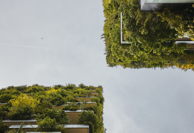 Bosco Verticale: Fotografo di architettura a Milano