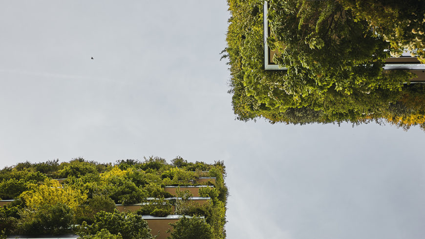 Fotografo di architettura a Milano Bosco Verticale Torri Aria, Solaria, Solea