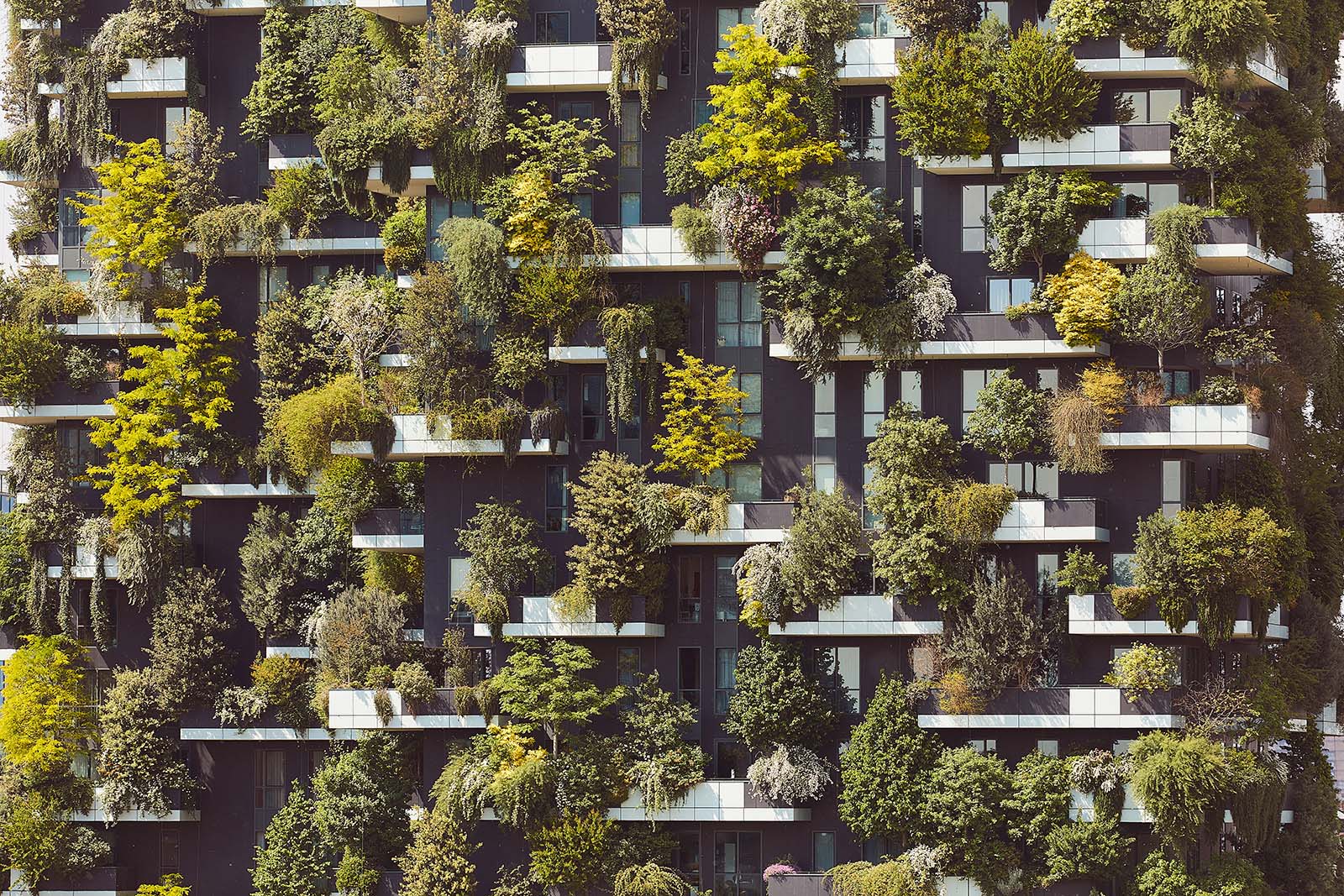 Fotografo di architettura a Milano Bosco Verticale Torri Aria, Solaria, Solea